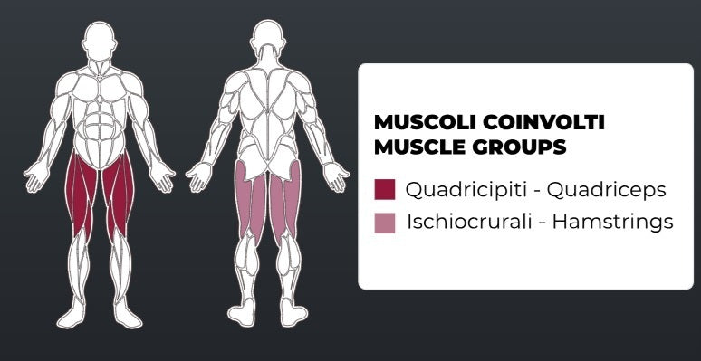 Toorx Vertical - Aktiv Line Leg Press PLX-4800 - pacco pesi 130 Kg.