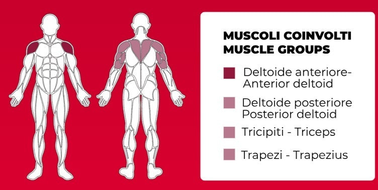 Shoulder Press FWX 6450 Linea Toorx Professional Line cod. FWX-6450