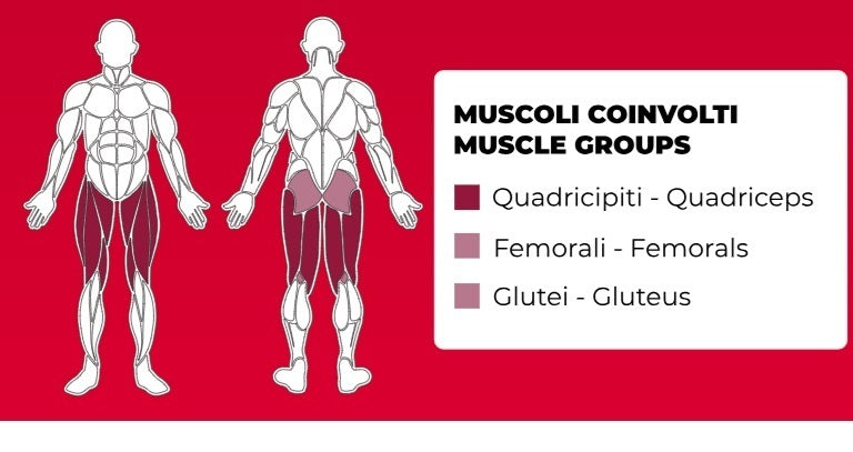 Horizontal Leg Press PLX-6600 Linea Toorx Professional Line cod. PLX-6600
