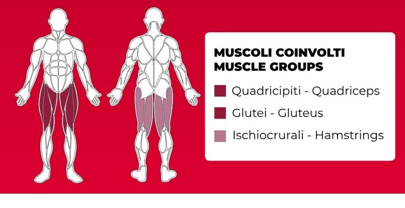 Leg Extension PLX-6700 Linea Toorx Professional Line cod. PLX-6700