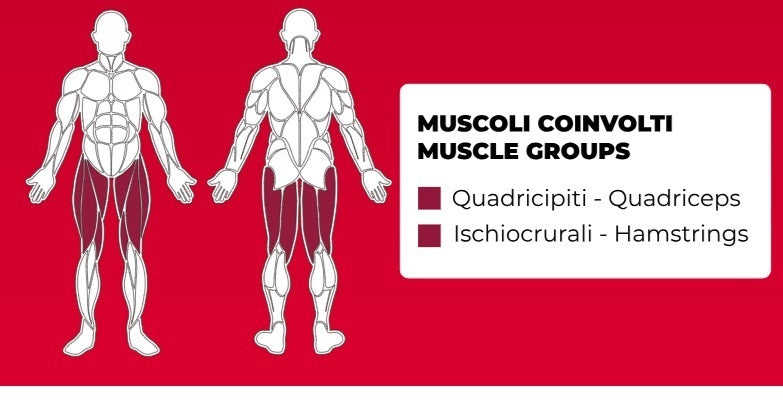 Prone Leg Curl PLX-6800 Linea Toorx Professional Line cod. PLX-6800