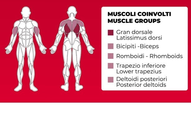 Toorx Vertical - Standing T Bar cod.FWX-6950 - carico massimo 250 Kg.