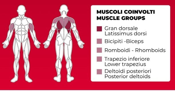 Toorx Vertical - T Bar FWX-7000 - carico massimo 200 Kg.