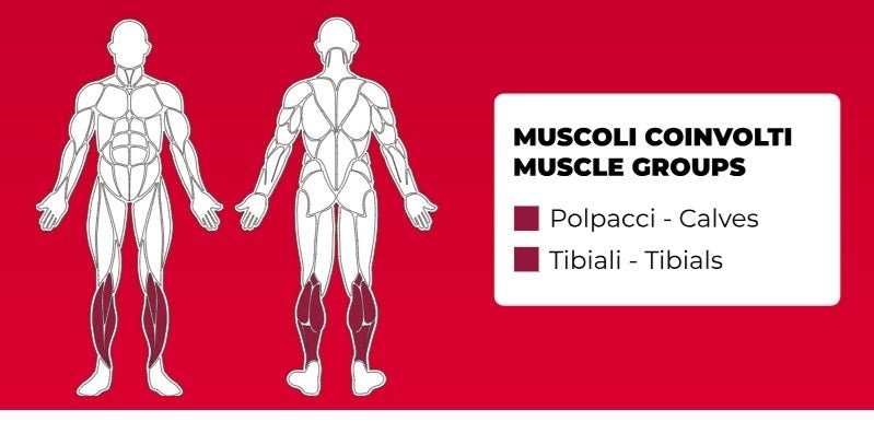 Seated Calf PLX-7200 Linea Toorx Professional Line cod. PLX-7200