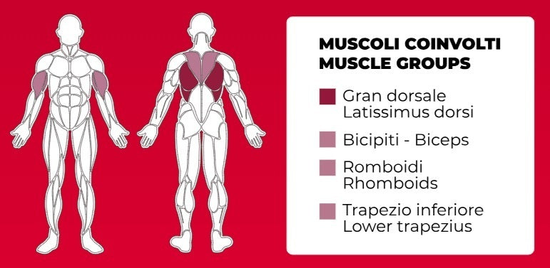 Lat Pull Down Plate Loaded Linea Professional Toorx cod. FWX-8200