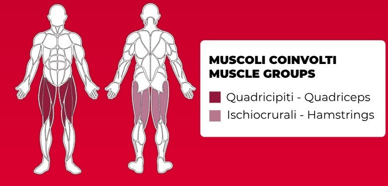 Horizontal Leg Press PLX-8700 Linea Toorx Professional Line cod. PLX-8700