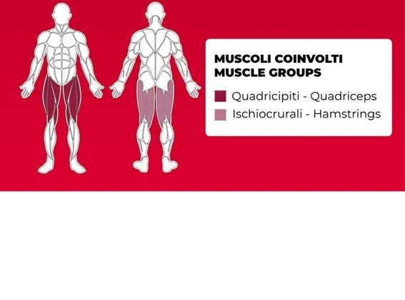 Leg Extension PLX-8800 Linea Toorx Professional Line cod. PLX-8800