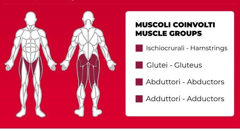 Multi Hip PLX-9100 Linea Toorx Professional Line cod. PLX-9100