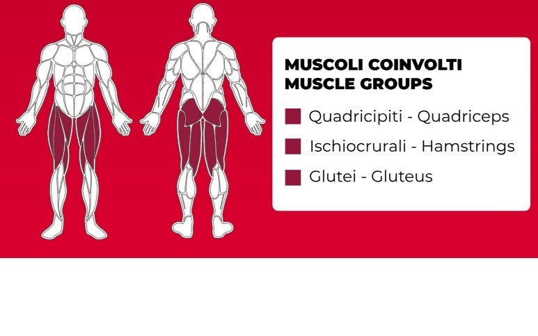 Squat Lunge Linea Professional Toorx cod. FWX-9200