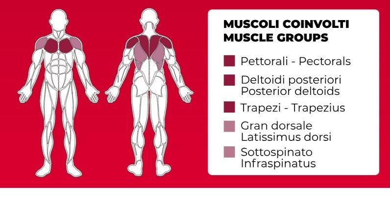 Isolateral Pectoral fly/rear deltoids PLX-9300 Linea Toorx Professional Line cod. PLX-9300