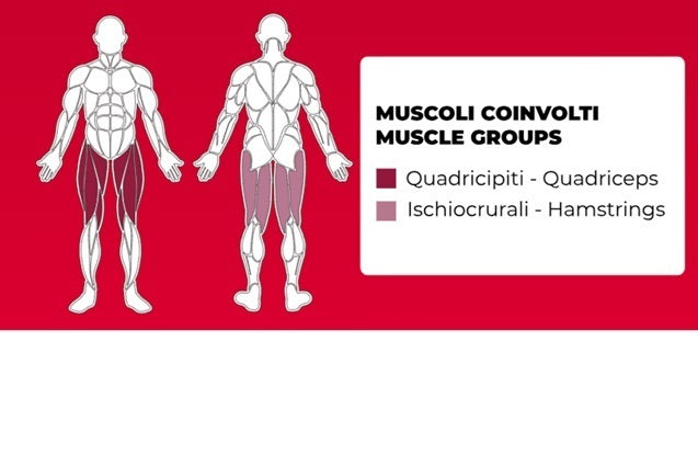 Leg Extension Linea Professional Toorx cod. FWX-9400