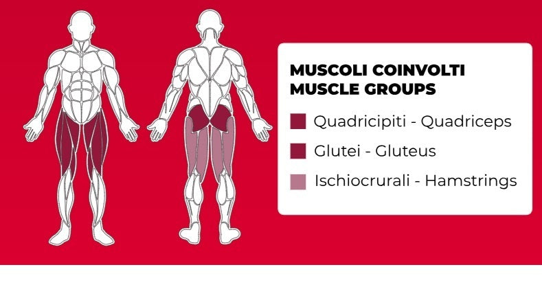 Horizontal Leg Press/Hack Squat PLX-9500 Linea Toorx Professional Line cod. PLX-9500