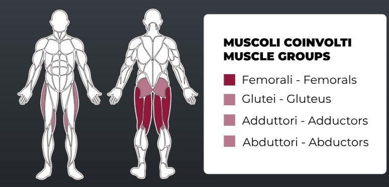 Toorx Vertical - Leg Curl FWX-5000 - carico massimo 150 kg.