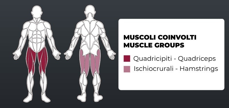 Toorx Vertical - Leg Press FWX - 6000 - carico massimo 350 Kg. - a pantografo