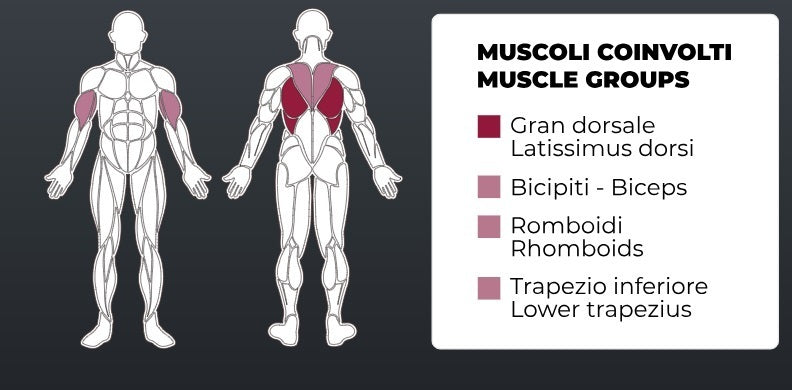 Toorx Vertical - Pull Down FWX-5600 - carico massimo 200 Kg.