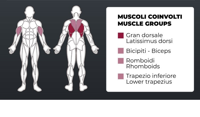 Toorx Vertical Aktiv Line Seated Row PLX-4000 - pacco pesi 100 Kg.