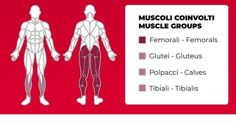 Hip Thrust PLX-9000 Linea Toorx Professional Line cod. PLX-9000