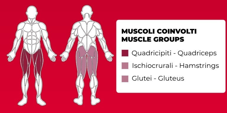 Linear Leg Press Plate Loaded Linea Professional Toorx cod. FWX-8800