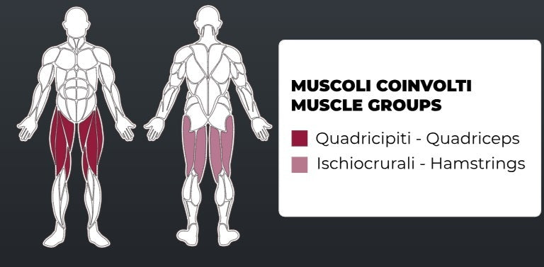 Toorx Vertical - Pressa Gambe Inclinata WBX-4000 - Colore Silver - carico massimo 350 Kg.