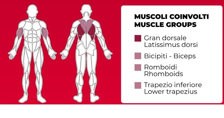 Pulley PLX-6400 Linea Toorx Professional Line cod. PLX-6400