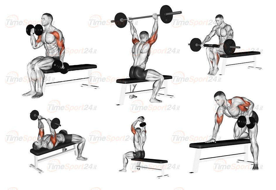 Panca Piana Regolabile Jk6045 - Jk Fitness Esercizi; French Press, Croci, Distensioni, Rematore, Spinte, Calf