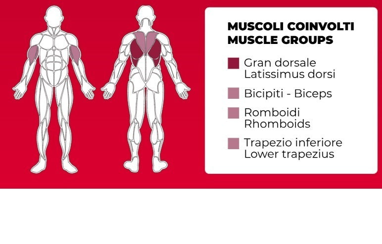 Lat Machine PLX-6300 Linea Toorx Professional Line cod. PLX-6300