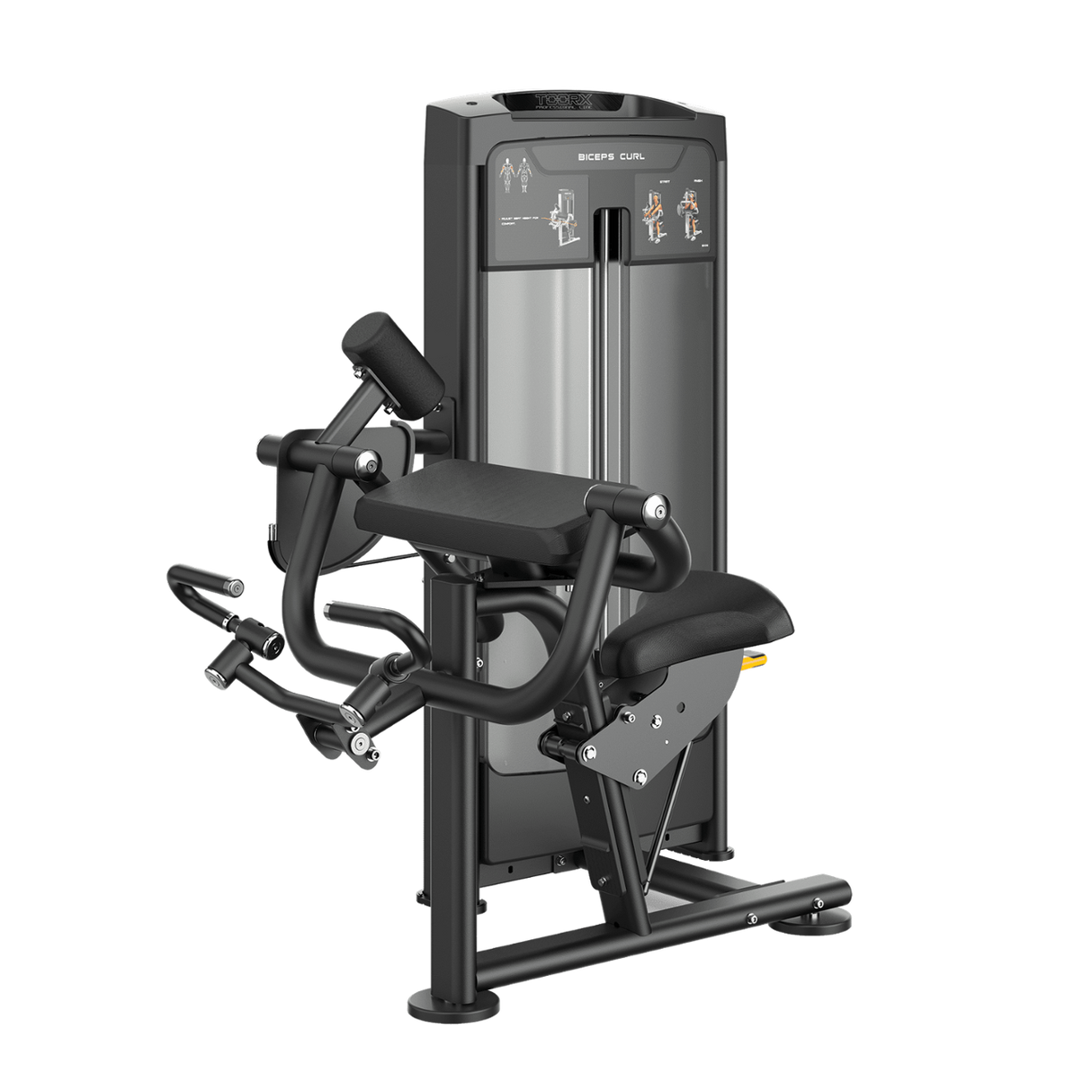 Biceps Curl PLX-8600 Linea Toorx Professional Line cod. PLX-8600