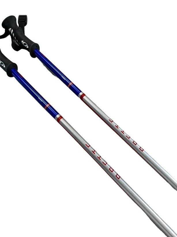 Mis.130 Bastoncini sci Salomon grigio argento