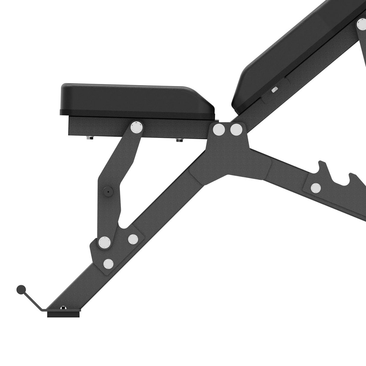 Toorx Vertical - Panca Piana e Inclinabile WBX-400