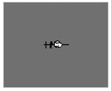 Gioco a Molla/Springer RANOCCHIO 1058 - GIOCHIPARK cod. 1058 A/B