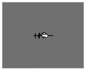 Gioco a Molla/Springer CAVALLUCCIO MARINO 1059 - GIOCHIPARK cod. 1059 A/B