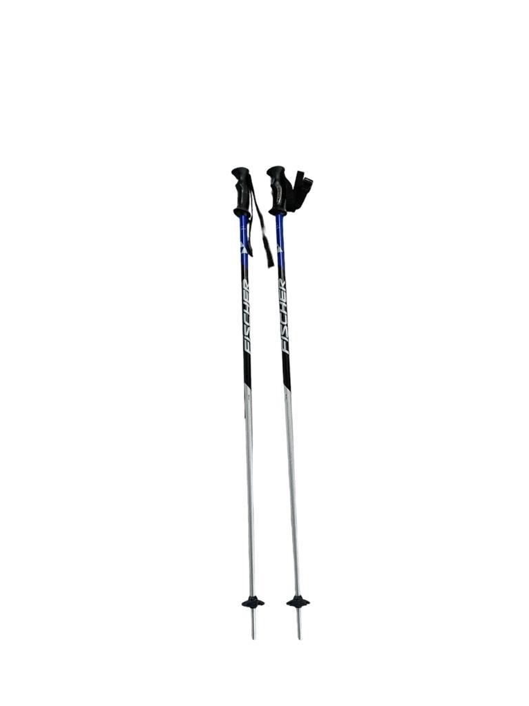 Bastoncini sci Fischer grigio/nero/blu