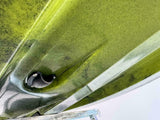 Kayak fishing a Pedali divisibile Big Mama Triken 330 Live S, con ruote e vasca del vivo - SCAFO GRIGIO NERO, gavone GIALLO