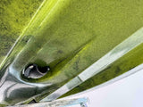 kayak fishing a Pedali divisibile Big Mama Triken 330 Live S, con ruote e vasca del vivo + ecoscandaglio Garmin Striker Vivid 7SV + kit braccetto display