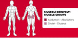 Abductor PLX-7000 Linea Toorx Professional Line cod. PLX-7000