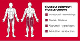 Multi Hip PLX-7100 Linea Toorx Professional Line cod. PLX-7100