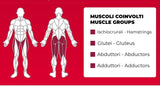 Multi Hip PLX-9100 Linea Toorx Professional Line cod. PLX-9100