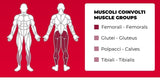Hip Thrust PLX-9000 Linea Toorx Professional Line cod. PLX-9000