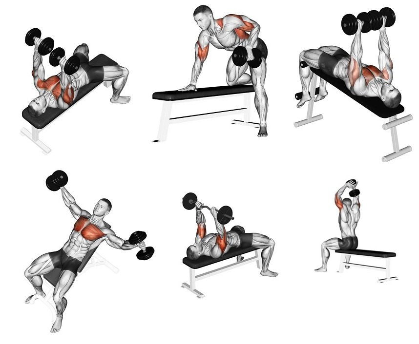 Panca Piana Regolabile E Panca Addominale Jk 6040 Jk Fitness Cod. Jk6040 Per Esercizi; Curl, Leg Curl, French Press, Distensioni, Spinte, Calf